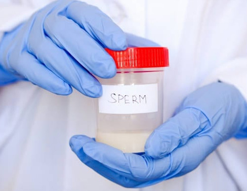 Specialist Consultation